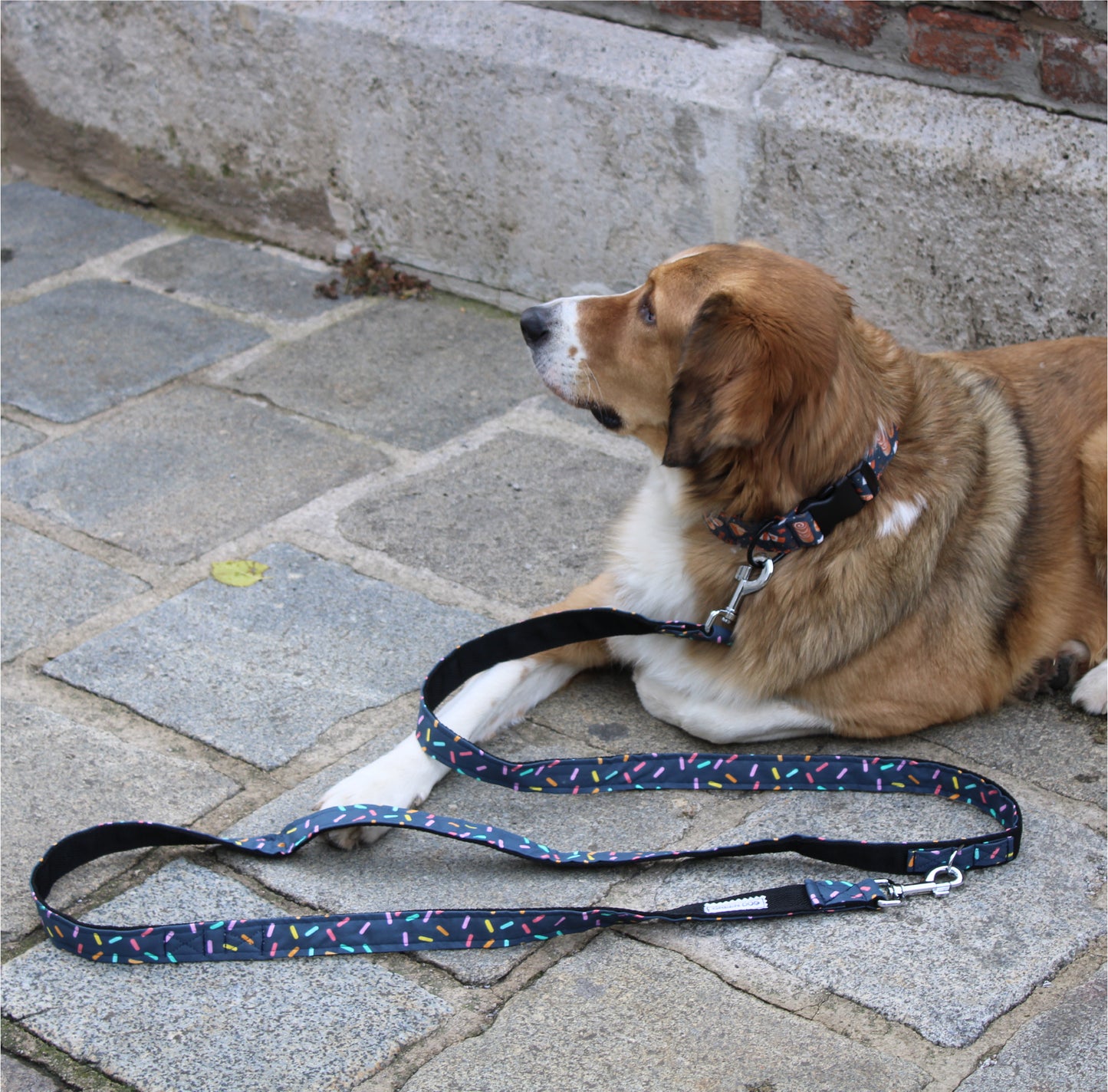 Adjustable Dog Leash "Blue Confetti" (1,1 inch wide)