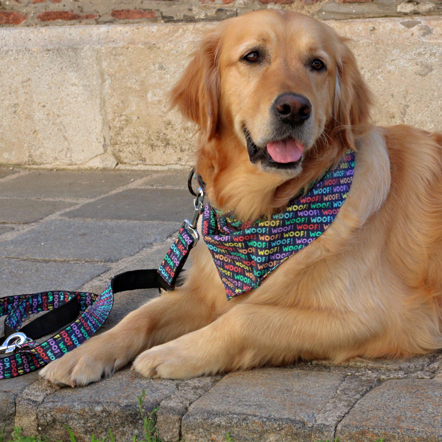 Buntes Halstuch für deinen Hund mit Schriftzug "Woof". Halstuch "Woof" für deinen Hund